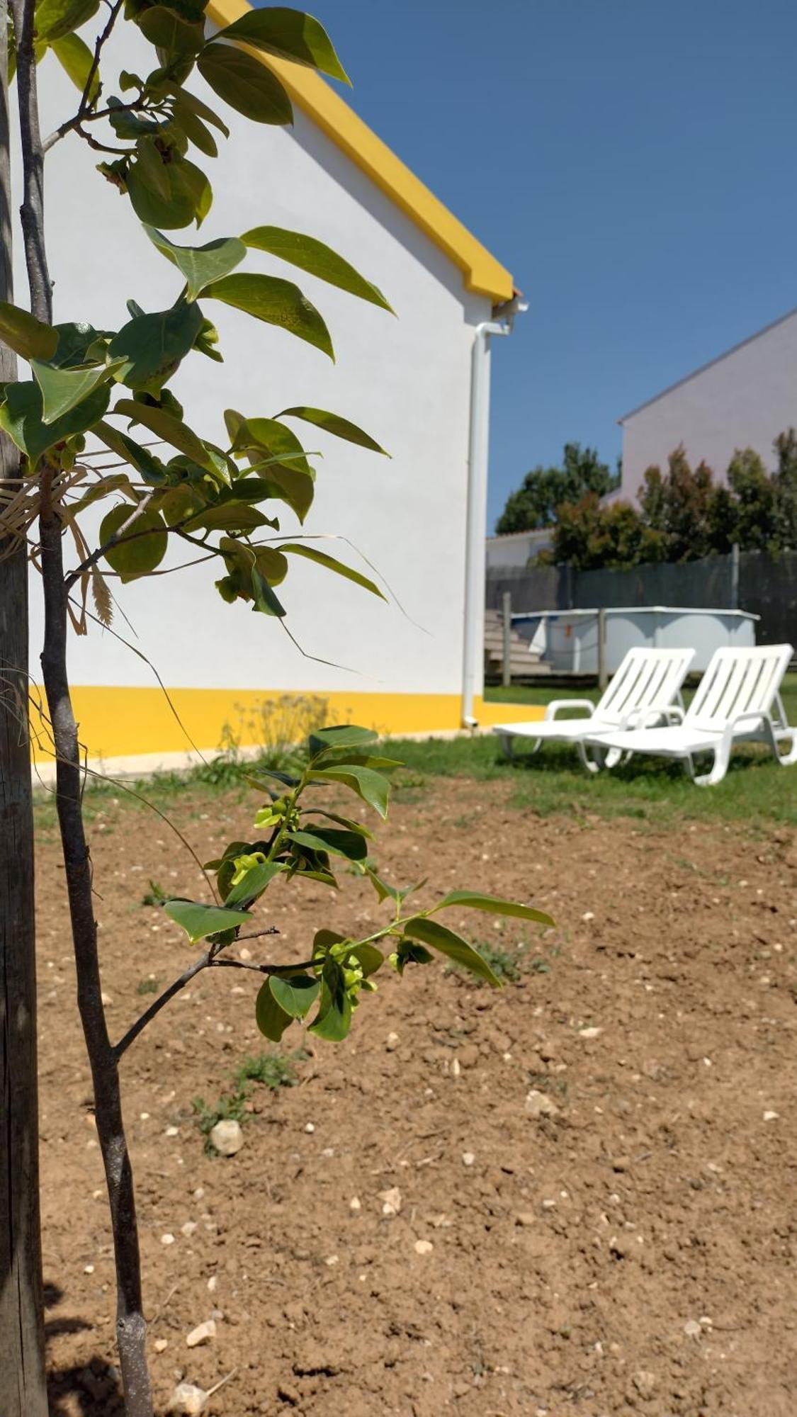 Villa Casa Da Caroleira Pacos  Exterior foto